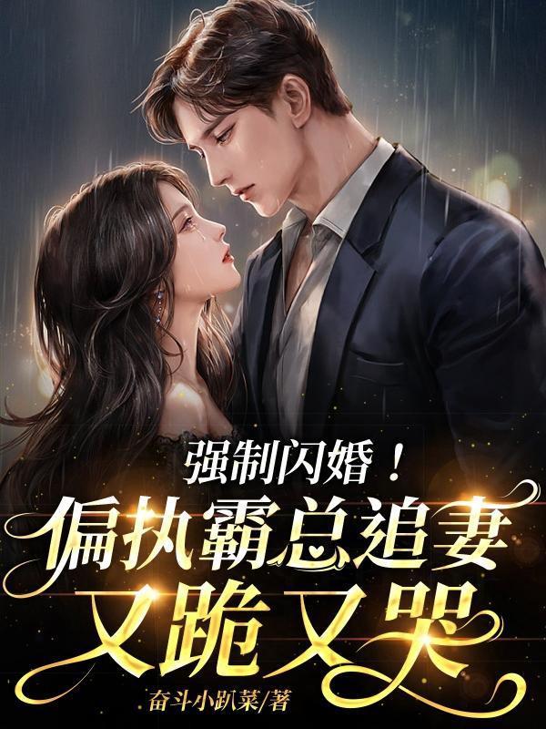 强制总裁的霸道宠妻法则