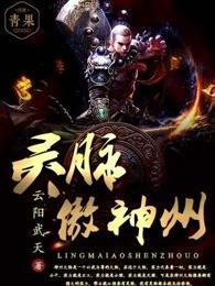 霹雳布袋戏傲神州