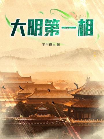 大明第一帅作品
