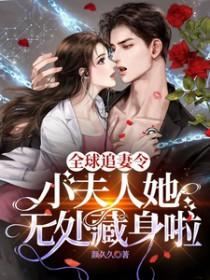 全球追妻令老婆无效宜栖全文免费阅读