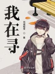 我在寻找成功的路上作文